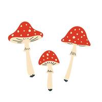 set of fly agaric mushrooms on white background, illustration in flat style vector