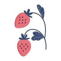 Hand drawn spring flower illustration isolated vector