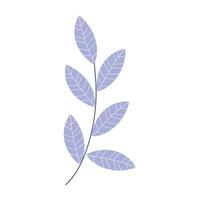 Hand drawn spring flower illustration on a white background vector