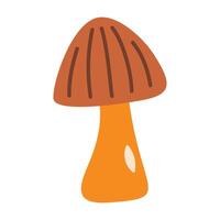 hand drawn mushroom isolated on a white background vector
