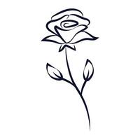 Hand drawn flower and leaves isolated on the white vector