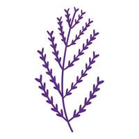 Hand drawn flat design simple flower outline isolated illustration on white vector