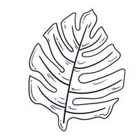 Hand drawn simple flower outline illustration isolated on a white background vector