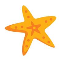 Starfish animal tropical illustration on a white background vector
