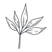 Hand drawn simple flower outline illustration on the white background vector