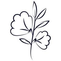 Hand drawn flower and leaves isolated illustration on a white background vector