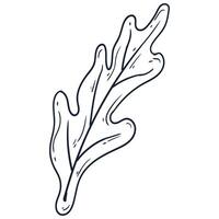 Hand drawn simple flower outline illustration isolated on the white background vector