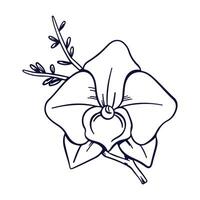 Hand drawn flower and leaf isolated illustration on a white background vector