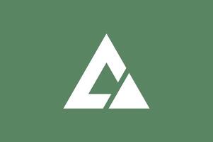 Abstract triangle modern vector