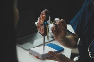 Doctor showing internal organs in 3d human model. Woman with stethoscope in lab coat sitting at table with laptop and talking about people anatomy. Health care and medical education concept. photo