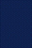 hexagon pattern with small cube ornament inside and dark blue background vector