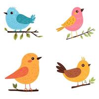Collection of Colorful Cute Bird Animal on Tree Branch with Leaf vector