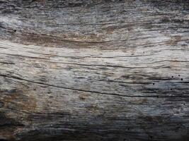 Vintage old wooden board texture for retro background. photo