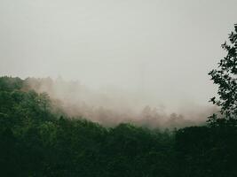 Fog on the mountains during the rainy season photo