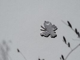 Silver painted cardboard butterfly on white wall and tree silhouette for copy space, nature and environment concept. photo