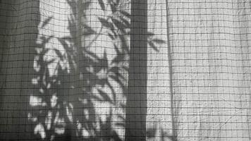 on the curtain you can see the shadow of the branches swaying in the wind. High quality FullHD footage video