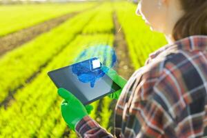 A farmer with a tablet successfully uses artificial intelligence at an agribusiness, with a farmer's field in the background photo