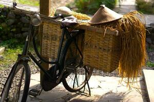 old retro bicycle carrying hay from farm on a basket with a farmer cap photo