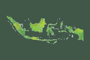 Indonesia watercolor map of green color with border lines of different provinces or divisions on dark background using paint brush vector