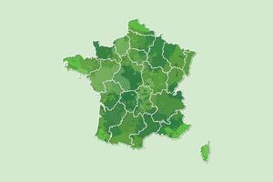 France watercolor map of green color with border lines of different regions or provinces vector