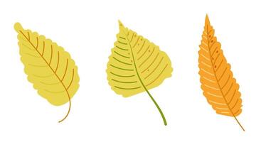 Autumn leaves set in colorful hand drawn flat style. Simple botanical stickers vector