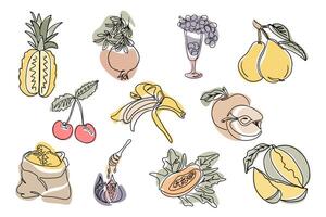 Vintage set of contour drawings of tropical and ordinary fruits in boho style. Botanical single line retro clipart of vegan food. Contour line composition isolated on white background. vector