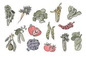 Vintage set of contour drawings of vegetables in boho style. Botanical single line retro clipart of vegan food. Contour line composition isolated on white background. vector
