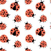Seamless hand drawn pattern with ladybug illustration on white. Cute simple flat design of black and red ladybug. vector