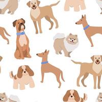 seamless pattern with cute dog different breeds isolated on white background vector