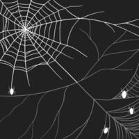 cobweb illustration for halloween in flat style design vector