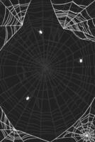 cobweb vertical banner illustration design in flat style vector