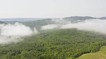 Drone view of a landscape with green forests and fields on a beautiful sunny day video