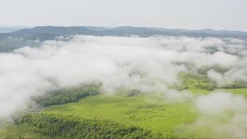 Drone view of a landscape with green forests and fields on a beautiful sunny day video