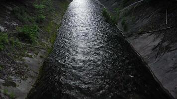 Drone view of an artificial canal in a green forest video