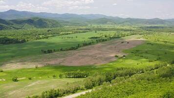 Drone view of a landscape with green forests and fields video