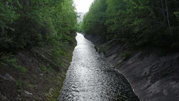 Drone view of an artificial canal in a green forest video