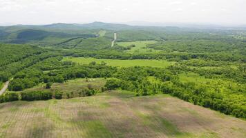 Drone view of a landscape with green forests and fields on a beautiful sunny day video