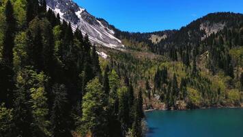 Aerial view of the mountain lake in the middle of a coniferous forest video
