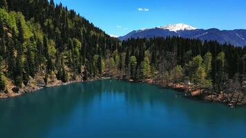 Drone view of the mountain lake in the middle of a coniferous forest video