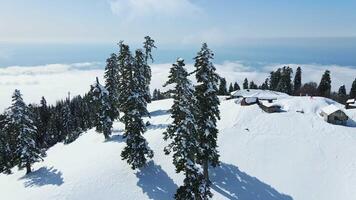 Freeride enthusiasts are preparing to descend from the top of the mountain video