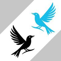 flying birds template design vector