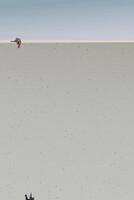 Cats playing together on cement wall with blue sky vertical background graphic illustration have blank space. vector