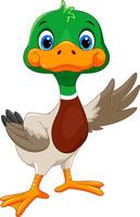 Cartoon happy duck on white background vector