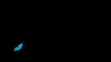 Butterfly with blue wings flying from bottom to top against transparent background. 3D animation video