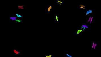 Top view of butterflies with different colored wings flying randomly against transparent background. 3D animation video