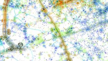 Fluid Harmony. Abstract Particle Flow video