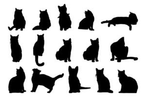 A diverse array of cat silhouettes showcasing different breeds and positions, ideal for pet lovers designs or creative projects. Perfect for silhouette art. vector