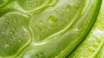 Close up of Lush Green Leaf with Vibrant Water Droplets on its Surface photo