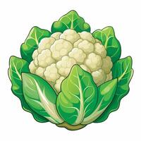 Realistic cauliflower on white background vector