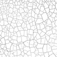 Cracked texture background, abstract grungy texture distress for design overlay. Detail of cracked cement wall texture vector